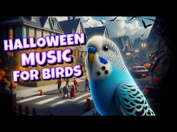 Halloween Music for Your Bird 🎃👻 | Budgie Parakeet Lovebird & Cockatiel Sounds