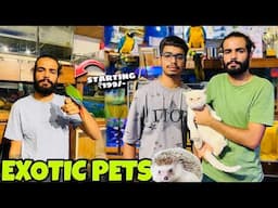 Ludhiana's Hidden Gem Exotic Pet Shop Revealed!