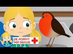 Twinkle The Robin has a Cold! 🐦| Doctor Poppy - Animals For Kids | Cartoon Animals