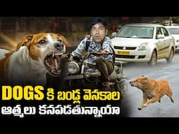 Why Dogs Chases Bikes, US Elections 2024 | Donald Trump USA | Telugu | VR Raja