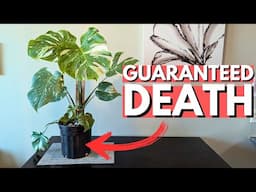 People keep doing this to their houseplants