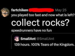 I collected every rock in Tears of the Kingdom.