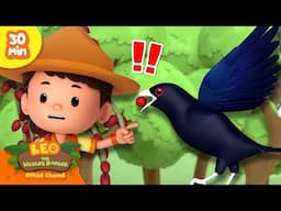 STOP THAT BERRY-STEALING BIRD! 🦅 | Birds of Nature 🕊️ | Leo the Wildlife Ranger | Kids Cartoons