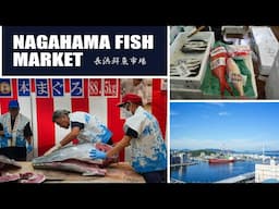 Nagahama Fish Market Citizen's Day - Walking Tour in Fukuoka, Japan | 長浜鮮魚市場,市民感謝デー, 福岡