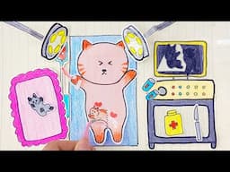 Giving birth to Kittens | Instructions to make a cat from paper 🐱 종이로 고양이를 만드는 방법