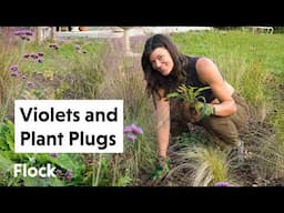 SEEDS & PLANT PLUGS in the Meadow House Gardens — Ep. 277