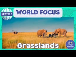 Grasslands | World Focus for Kindergarten | EYFS | Episode 9