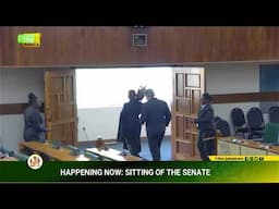 Sitting of the Senate || November 15, 2024