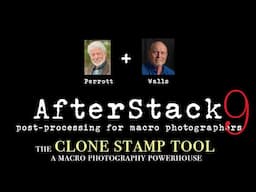 AfterStack - Episode 9 - The Clone Stamp Tool for Macro Photographers