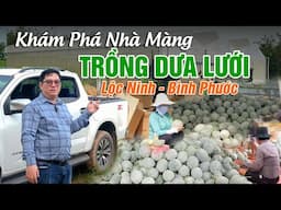 Tham quan mô hình nhà màng Trồng Dưa Lưới tại Lộc Ninh - Bình Phước | Ninh Dưa Lưới