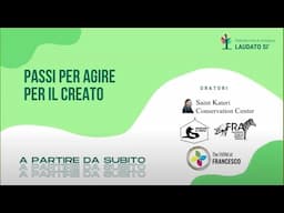 Webinar: Passi per agire per il creato