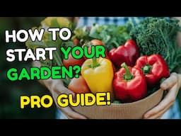 Gardening for Beginners: Plants, Soil and Pro Tips