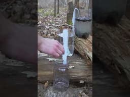 4 Ways to Filter Water in the Woods! #survival