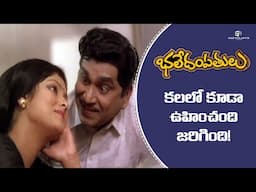 Bhale Dampathulu Movie Scenes | ANR & Jayasudha Scene | Rajendra Prasad, Vani Vishwananth