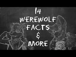 Werewolf 101 w/ClockieRaccoon! 14 Facts About Werewolves & More 🐺