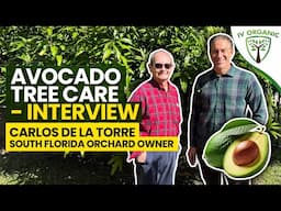 Avocado Tree Care (A to Z) Interview with @GraftingAvocados