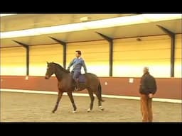 Jan Bemelmans Works Toward Counter Canter