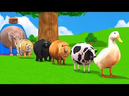 Paint Animals Duck,Cow,Tiger,Gorilla,Lion,Elephant,Dinosaur Fountain Crossing Fat Animal Game New