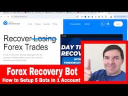 Forex Recovery Bot Review | How to setup the 5 forex recovery bots on Darwinex Zero account