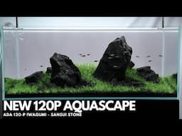 ADA 120P Aquascape using Sansui Stone