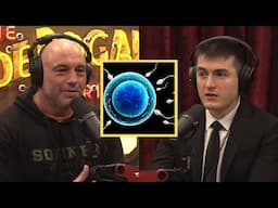 Joe Rogan & Lex Fridman: How much is plastic reducing your sperm count?