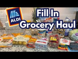 ALDI Grocery Haul | Small Grocery Haul