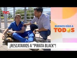 Seba Jiménez al rescate: Ayudamos a adoptar a "Pirata Black" | Buenos días a todos