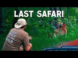 Last Safari with Giant Spiders - Pench Tiger Reserve - 4K Video Hindi | हिन्दी