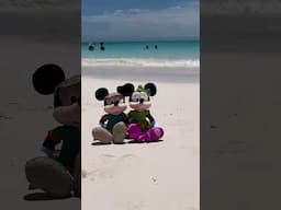 Lighthouse Point: Mickey and Minnie approved ✅