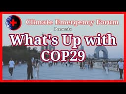 What's Up with COP29