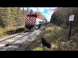 "North Woods Ramblin'" Adirondack RR