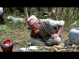 Nomadic cooking in the jungle || shepherd life of Nepal || @ruralnepalquest