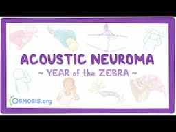 Acoustic neuroma (Year of the Zebra 2024)