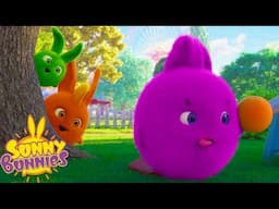 Who Wins The Tasty Orange? - Sunny Bunnies | Cartoons For Kids