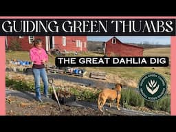 THE GREAT DAHLIA DIG // CUTTINGS VS TUBERS // MY MOST EXPENSIVE DAHLIA