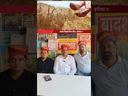 भारत सरकार द्वारां अनुमोदित गेंहु बादशाह#NuziveeduSeeds #AgritechGuruji #gehu_ka_beej#wheat_variety