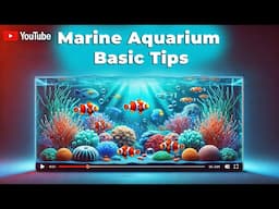 Marine aquarium basic tips