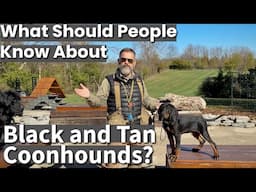 Black & Tan Coonhound | What Should People Know?