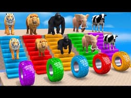 Animals Cartoon, Cow, Elephant, Lion, Gorilla, Paint Wild Animals Crossing Fountain Animation