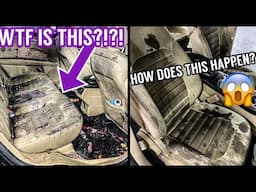 Deep Cleaning The NASTIEST Ford Ever! | Best Seat Extraction | Insane Car Detailing Transformation!