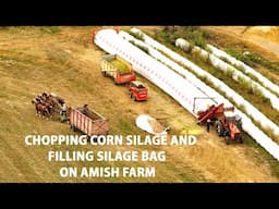 AMISH Farmers Chopping Silage with HORSE Power and Filling Silage Bag- Lancaster County's Amish Land