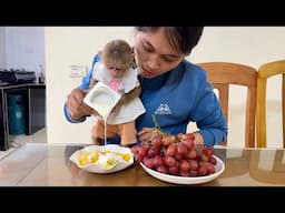 Monkey Abi and her mother make delicious fruit yogurt