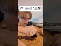 Windmill ASMR #windmill #netherlands #dutchasmr