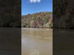 Hiking 🥾 Along The Chattahoochee River East Palisades #georgia #hiking #trails #chattahoochee