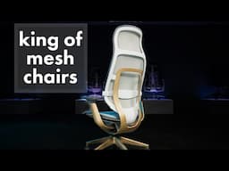 This is the Best Mesh Chair | Steelcase Karman High Back