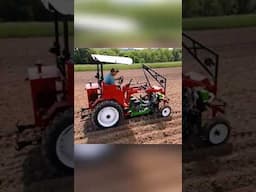 Planting Sunflowers With A Vacuum Planter | Ultimate Visibility With Mid Mount Tractor