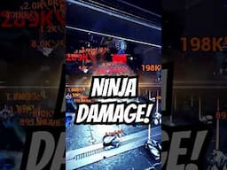 NINJA DAMAGE | Stealth Multipliers