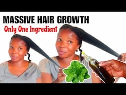 ONLY ONE INGREDIENT | Grow Your Hair Faster & Healthier | PEPPERMINT OIL #haircare