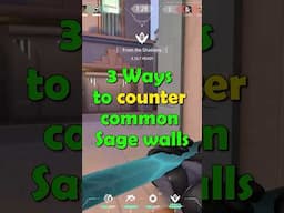 Ways To Counter Common Sage Walls