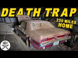 Will the RUSTIEST Barn Find Mustang RUN & DRIVE 250 Miles Home After 25 YEARS?